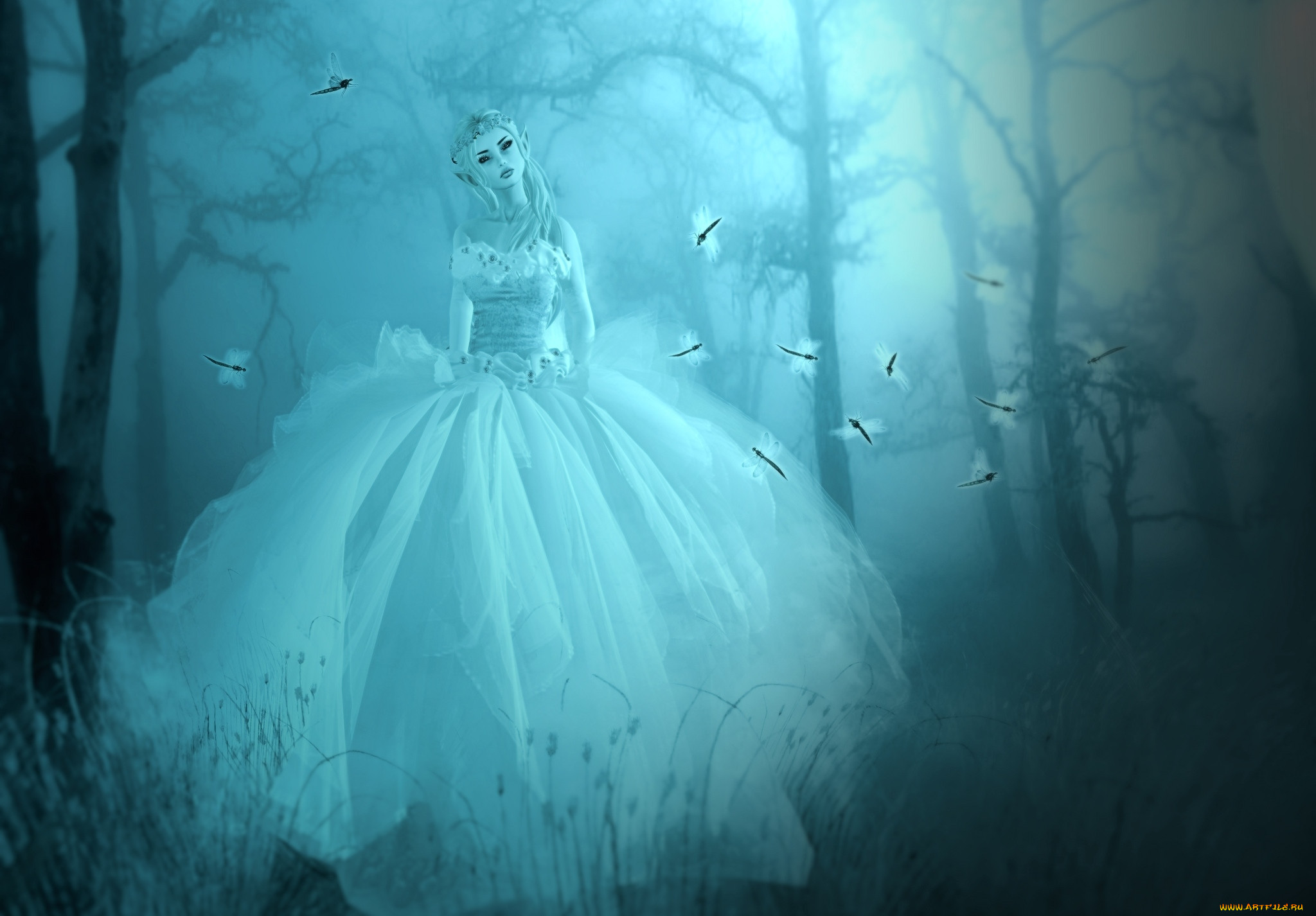 3 , elves , , 